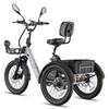 Triciclo Eléctrico de Carga FAFREES F20 Mate II para Personas Mayores, Batería Extraíble de 48V 25Ah, Cestas Delantera y Trasera