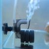 Increase Oxygen Aquarium Sponge Filter Suction Cup Air Driven Sponge Filter  Biological Filtration