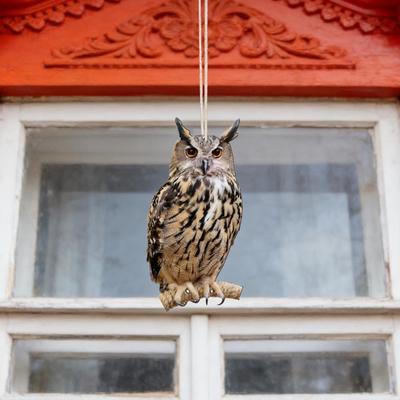 Realistic Eagle Scarecrow Bird Repel Pendant Waterproof Fake Bird Expeller Hanging Decor For Garden Patio Orchard Protector S1N7