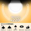 Saving Iris Ohyama LED Light Bulb E26 Wide Beam Angle 60W Equivalent Warm White [Energy Measures] 2-Pack LDA6L-G-6T72P
