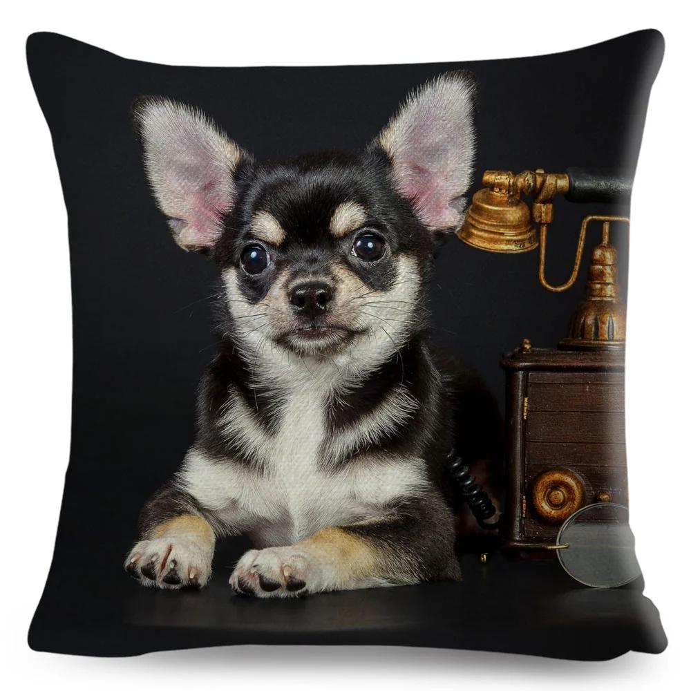 Niedlicher Kleiner Hund Chihuahua Kissenbezug Deko Liebes Haustier Tier Kissenbezug Polyester Überwurf Kissenbezug für Sofa Zuhause Auto 45x45cm