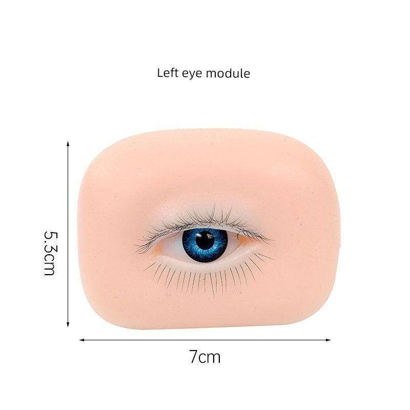 Eyelash Practice Module, a Specialized Simulation Practice Tool for Beginner Eyelash Technicians, Including Eyelash and Eyebrow Tattoo Practice Film