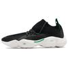 Dmx Fusion 'Black Basil' CN3601