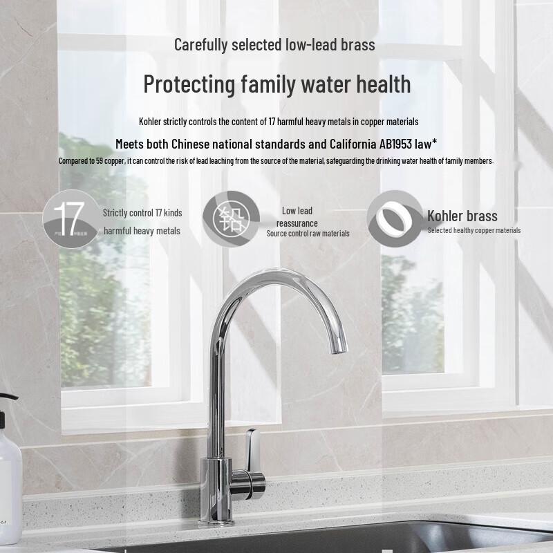 Kohler Aire Single Handle Kitchen Faucet