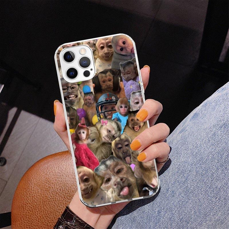 Monkey Memes Phone Case For iPhone 13 12 Mini 11 Pro Max XS XR X SE 7 8 Plus 5S 5 6S 6 Gift Print Cover Fundas