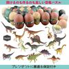 heizi 4D Puzzle Saurus DX Dinosaur Egg Set of Jurassic Excavation Egg 3D Assembly Figure 24 Figures in Total 4, Puzzle, Toy, (Type A)