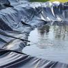Lámina para Estanque Piscina de Jardín HDPE Reforzado Piscina Pesada para Paisajismo Estanque