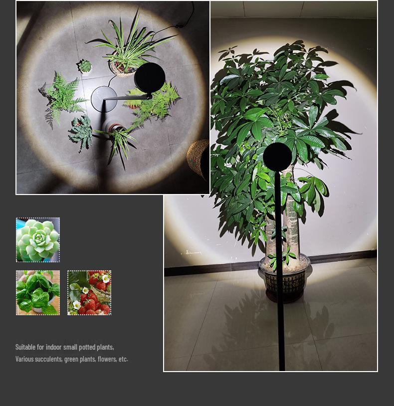 Floor-Standing Indoor LED Grow Light for Succulent and Green Plants - Full Spectrum COB