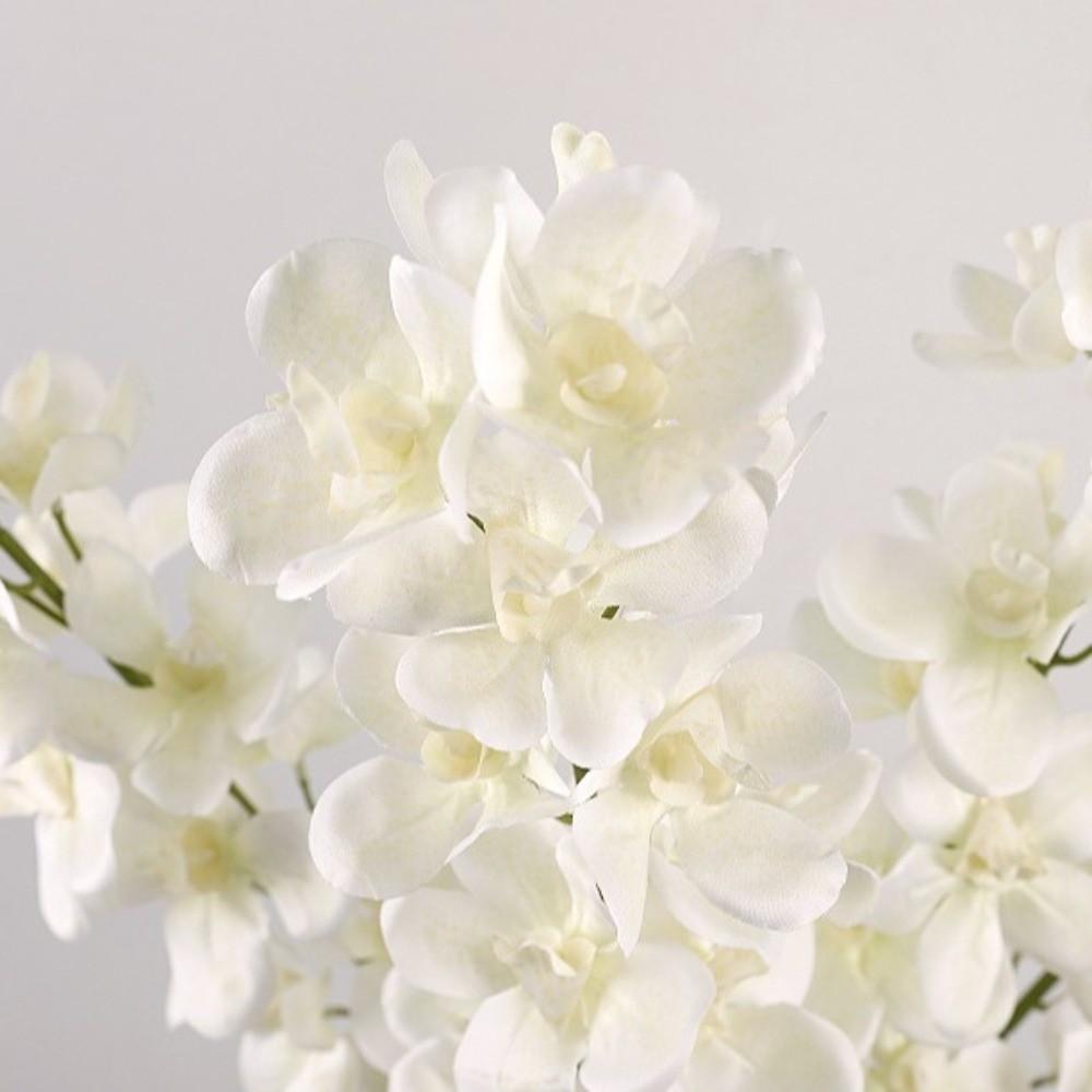 Butterfly Orchid Simulation Moth Orchid Real Touch Faux Phalaenopsis  Wedding Party Favors