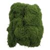 Artificial Moss for Indoor Outdoor Decor Available in 50g 100g 200g Sizes