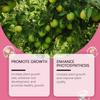 100ml Soluzione Nutriente per Fiori per Piantagione e Sviluppo dei Frutti Fertilizzante Orticolturale Promuove la Fioritura e la Crescita delle Piante