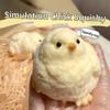 Squishy Simulation Yellow Chicken Stress Ball Squeeze Toys Super Soft Fidget Toy ASMR Sensory Anti Stress Toys for Adults