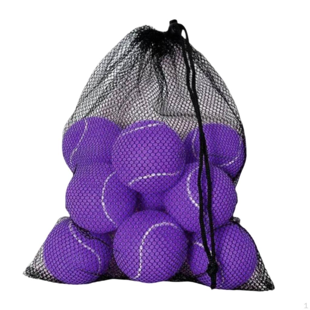 10 Pieces Tennis Balls with Storage Mesh Bag Workout for Pet Dog Adults Kids Yellow