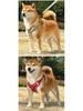 Harnais Gilet Respirant Réglable & Laisse pour Chiens de Petite à Moyenne Taille - Sans Rembourrage, Sans Étranglement, Idéal pour les Shiba Inus & Bouledogues Français