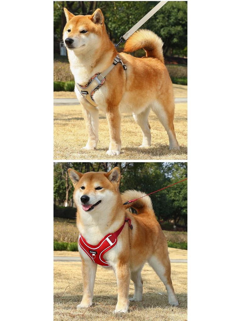 Harnais Gilet Respirant Réglable & Laisse pour Chiens de Petite à Moyenne Taille - Sans Rembourrage, Sans Étranglement, Idéal pour les Shiba Inus & Bouledogues Français