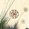 [ZYAS]Vintage Metal 3D Dandelion Garden Sculptures Dandelion Garden Stake Decoration Metal Outdoor Sculpture Outdoor Decor