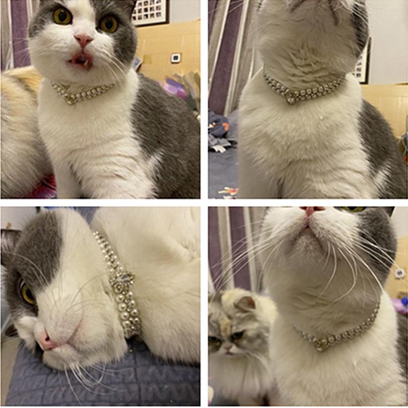 Luxury Cat Puppy Pearl Necklace Rhinestone Collar for Cats Small Dogs Ragdoll Cat Sphynx Necklaces Pet Accessories Collier Chat