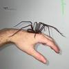 Magnetic Spider Decoration Scary Realistic Giant Spider Halloween Prank Props Garage Door Mailbox Locker Refrigerator Magnet Fake Spider