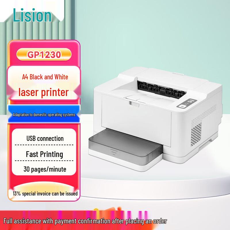 LANXUM Professional Desktop A4 Laser Printers CN plug (adapter included)