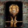 Vintage Golden Crown Lion Metal Wall Decor 8x12 Inch Vintage Home Decor Plaque for Kitchen Bar Farmhouse
