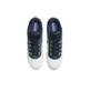 Nike Air Max Ishod Wair SB Obsidian FB2393-101