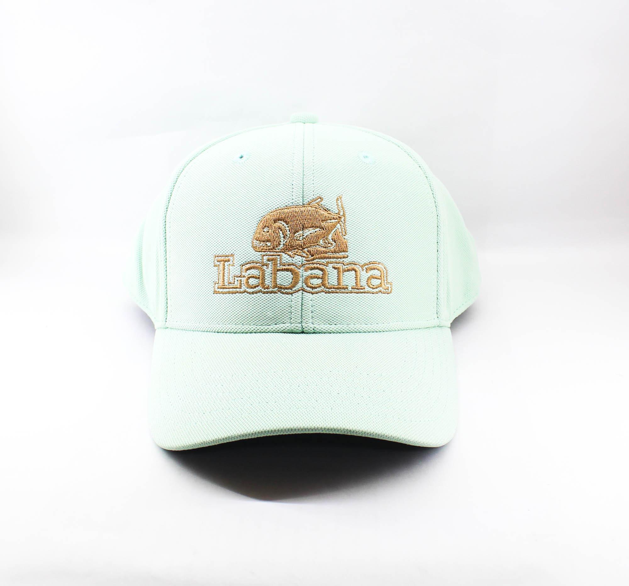 

Labana Studio Cap бирюзовый (5007)