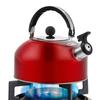 3L Stainless Steel Whistling Tea Kettle Water Boiler Multi-Function Water Boiling Pot Camping Pot for Induction Stove Gas Stove