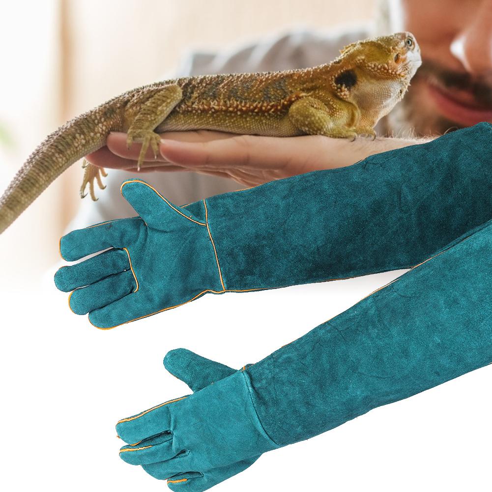 Canvas Blue Pet Reptile Training Anti Bite Lengthen Safety Protection Gloves for Varanid Snake Dogs Cats(Blue )