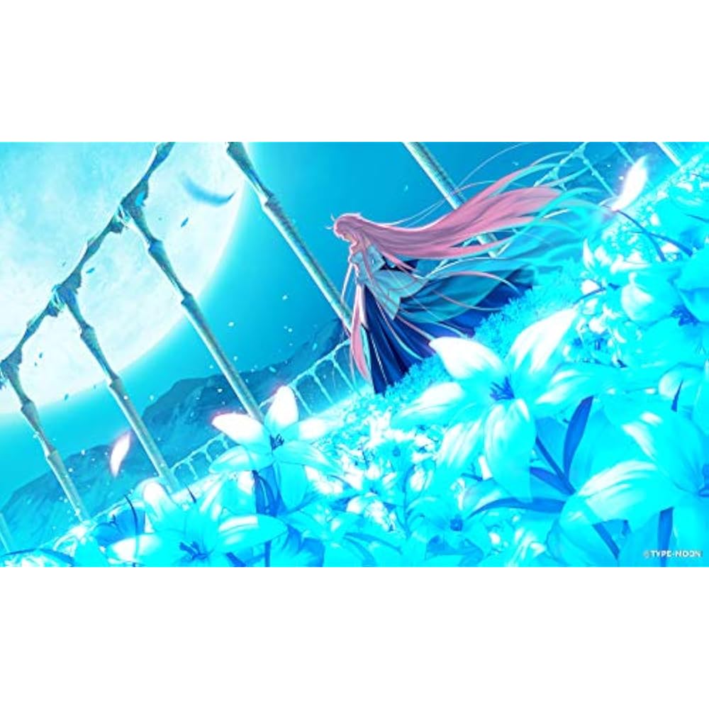 Tsukihime -A Piece of Blue Glass Moon- - PS4 [CERO rating “Z”]