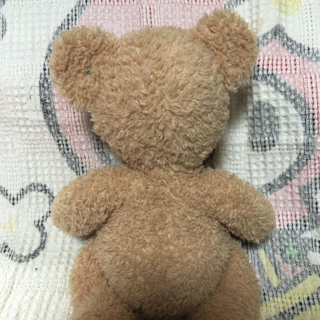 [USED] Steiff Teddy Bear Finn 40cm (Used)