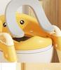 Kids' Potty Training Step Stool and Seat
