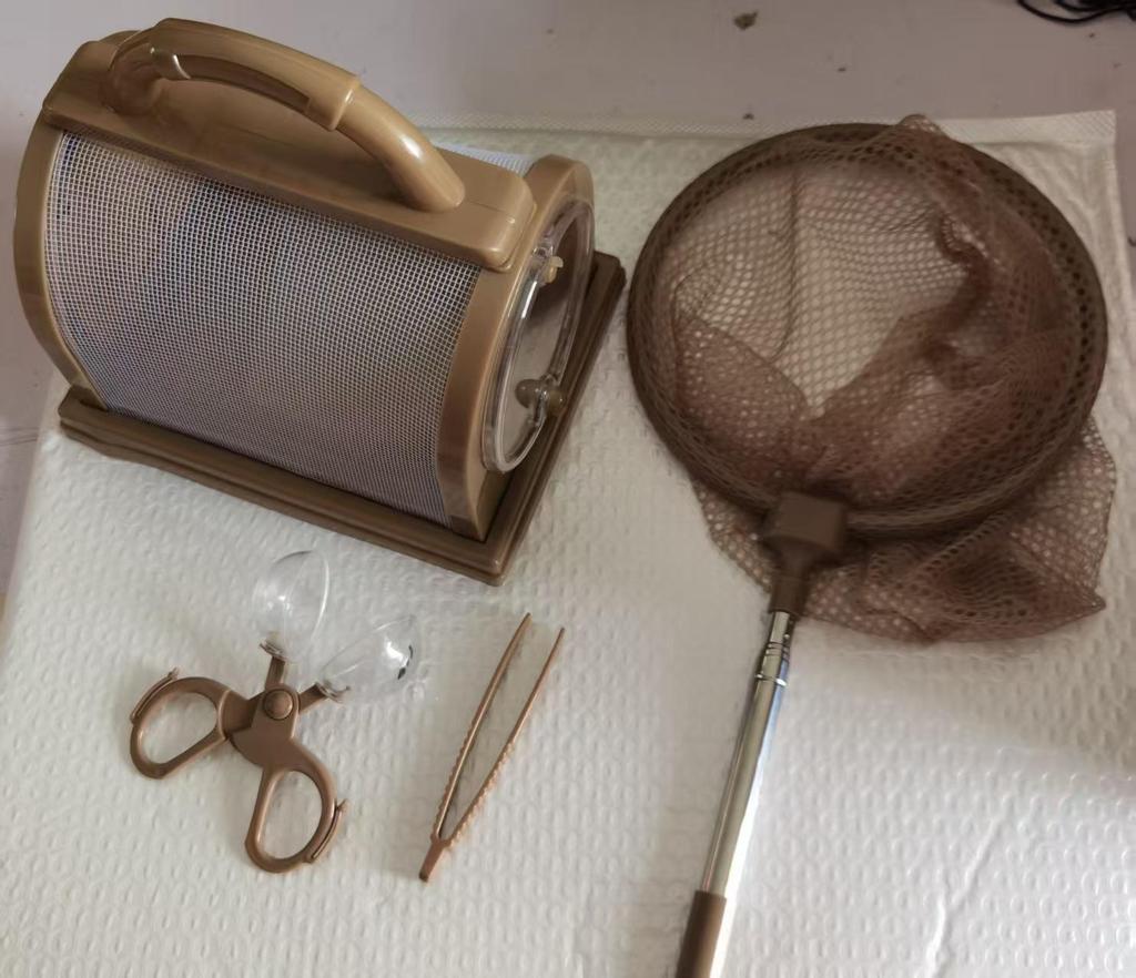 Portable Insect Observation Cage for Butterflies, Silkworms, and Bees