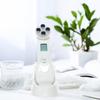 EMS Ion Facial Massage & Skin Care Microcurrent Rejuvenation Device