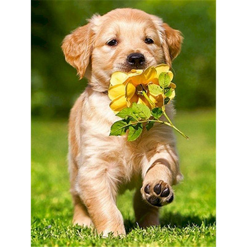 CHENISTORY Pittura su Tela con Numeri Animali Disegno di Cane su Tela Pittura a Mano Arte Murale Pittura con Numeri Regalo Personalizzato