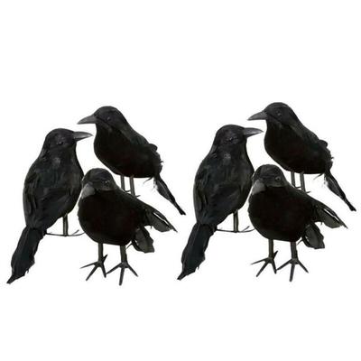 6pcs Decorative Crows for Halloween Realistic Crows with Feathers Creepy Decoration for Party, Home, Shop