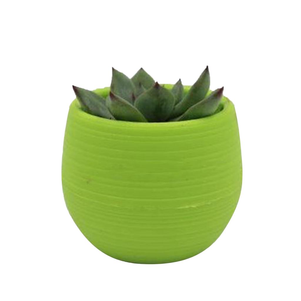 Succulent Pot Mini Seedling Flower Container Plastic Flower Pot for Garden Courtyard Balcony