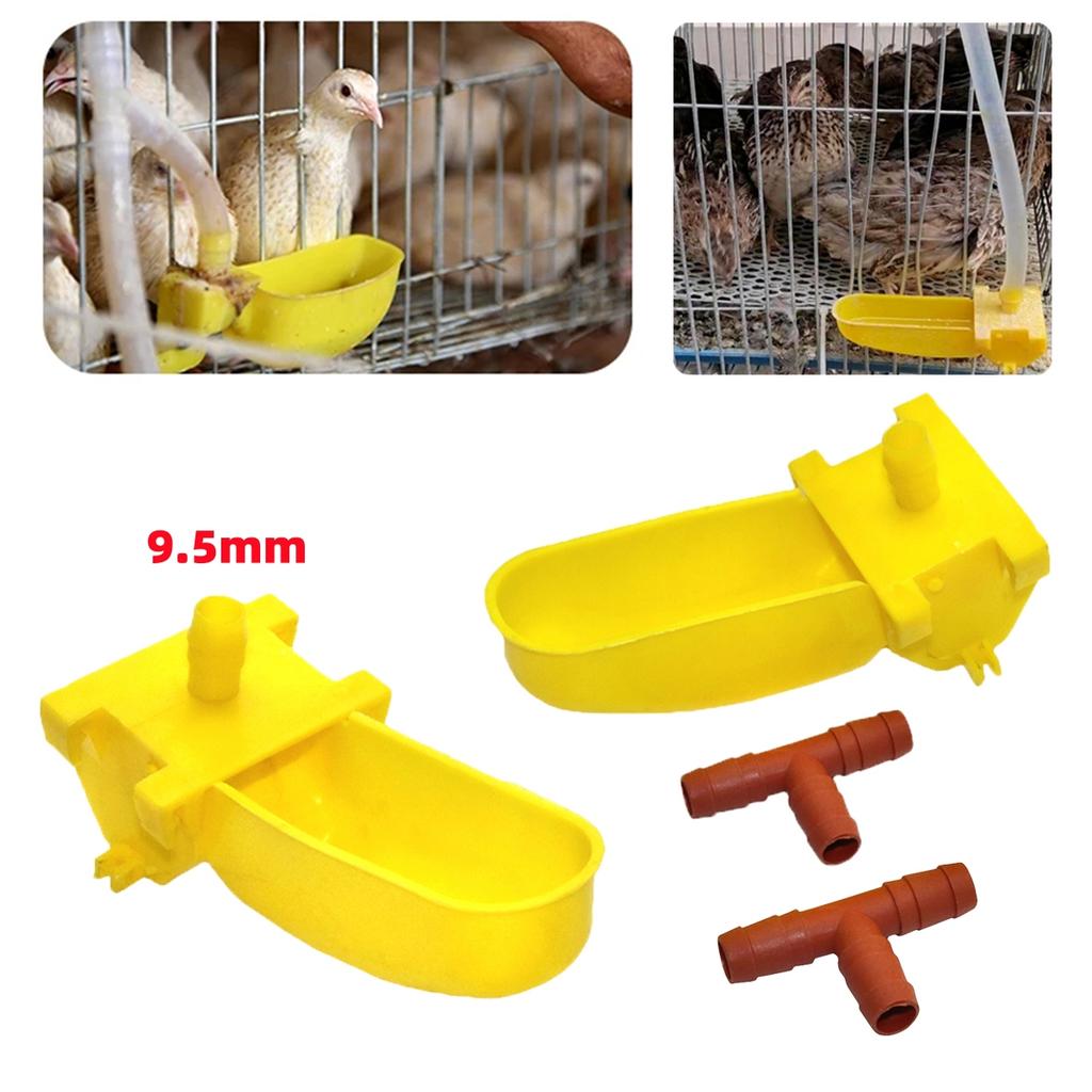 9.5mm Interface Birds Double-sided Hanging Cup Automatic Drinking Bowl and Tee Connector Quails Pigeons Chicks Waterer Cups 5Pcs