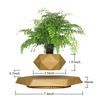 Magnetic Levitating Pot Amazing Plant Holder Floating Plant Pot for Office Home Decoration Mordern Ornaments Creative Gifts