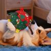 Inflatable Dog Squeaky Ball Outdoor Christmas Interactive Dogs Toys Squeaky Pet Dogs Training Toy For Dogs Teething