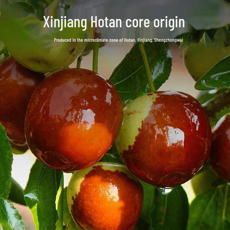 Qi Lixiang Xinjiang Hetian Jumbo Red Dates