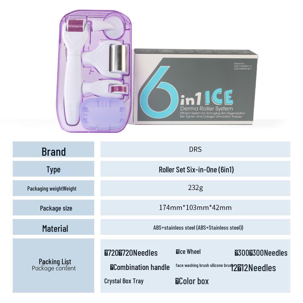 DRS 4-in-1 Microneedle Roller Set: Multifunctional Facial Care and Beauty Tool