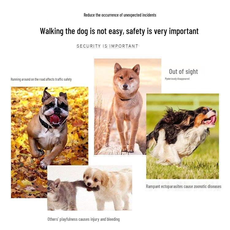 Zestaw obroży dla psa: Skórzana obroża przeciw ugryzieniom i smycz łańcuchowa z nitami dla owczarków niemieckich, pitbulli, dobermanów, buldogów francuskich.