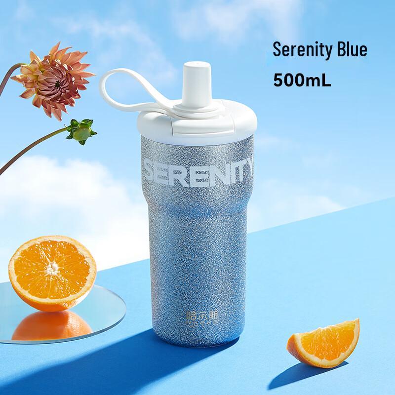 

HAERS Starry Insulated Stainless Steel Straw Tumbler