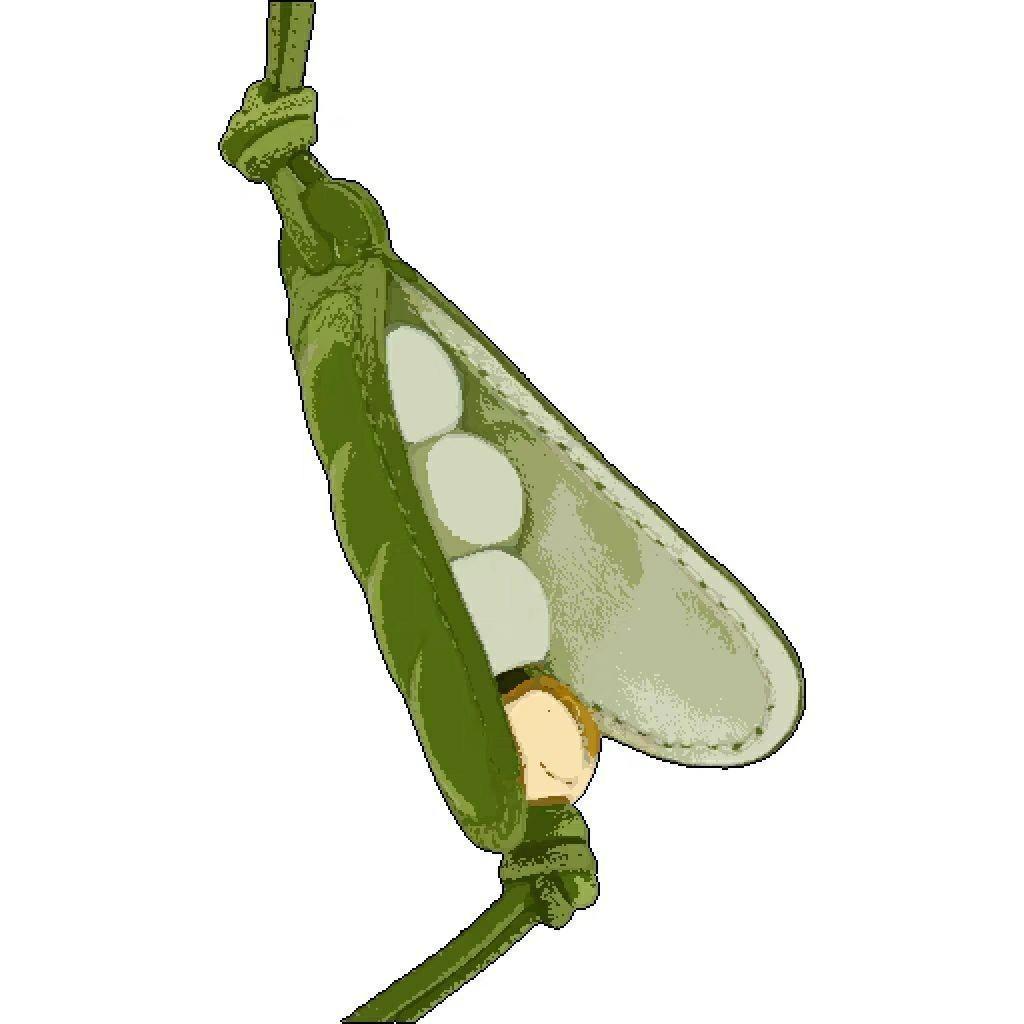 

Classic Chinese Style Pea Pod Pendant - Trendy and Versatile Charm