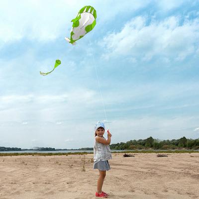 3D Kite Huge Frameless Soft Parafoil Giant Whale Flying Kite