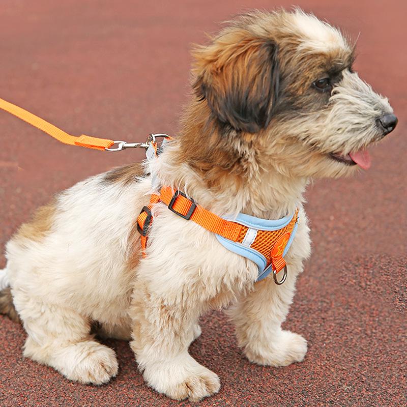 Breathable Mesh Dog Leash & Harness - Vest Style, Anti-Lost, Small/Medium Dogs