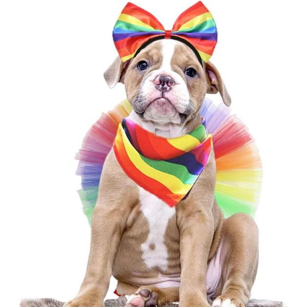 jojofuny 1 Set Rainbow Pet Costume : Rainbow Headband Scarf Tutu Skirt Dog LGBT Gay Pride Bandana Triangle Dog Scarf for Pet Accessories