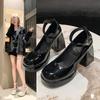 French Small White Thick Heel Mary Jane High Heels Women's Spring Skirt Single Shoes Fashion