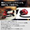 Sennheiser IE 100 PRO RED Professional Monitoring Earphones, Red (Official Japanese Product), 508942, In-Ear Type, Wired Earphones