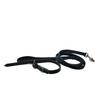 @ Dog Collar With Belt And Leash Set Black Color 230 Gm Zr-8042-60%Off